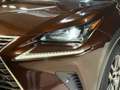 Lexus NX 300h AWD Luxury Line | 116.000km | Schuifdak | Apple Ca Braun - thumbnail 37