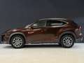 Lexus NX 300h AWD Luxury Line | 116.000km | Schuifdak | Apple Ca Braun - thumbnail 3