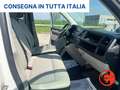 Volkswagen Transporter 2.0TDI 102 CV DOPPIA CABINA 7 POSTI CASSONE APERTO Blanc - thumbnail 14