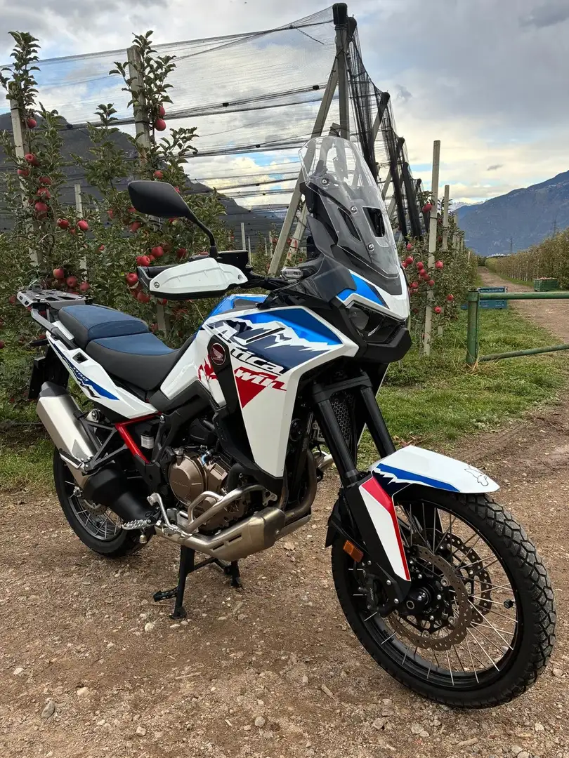 Honda CRF 1100 CRF1100L AFRICA TWIN ES Bianco - 2