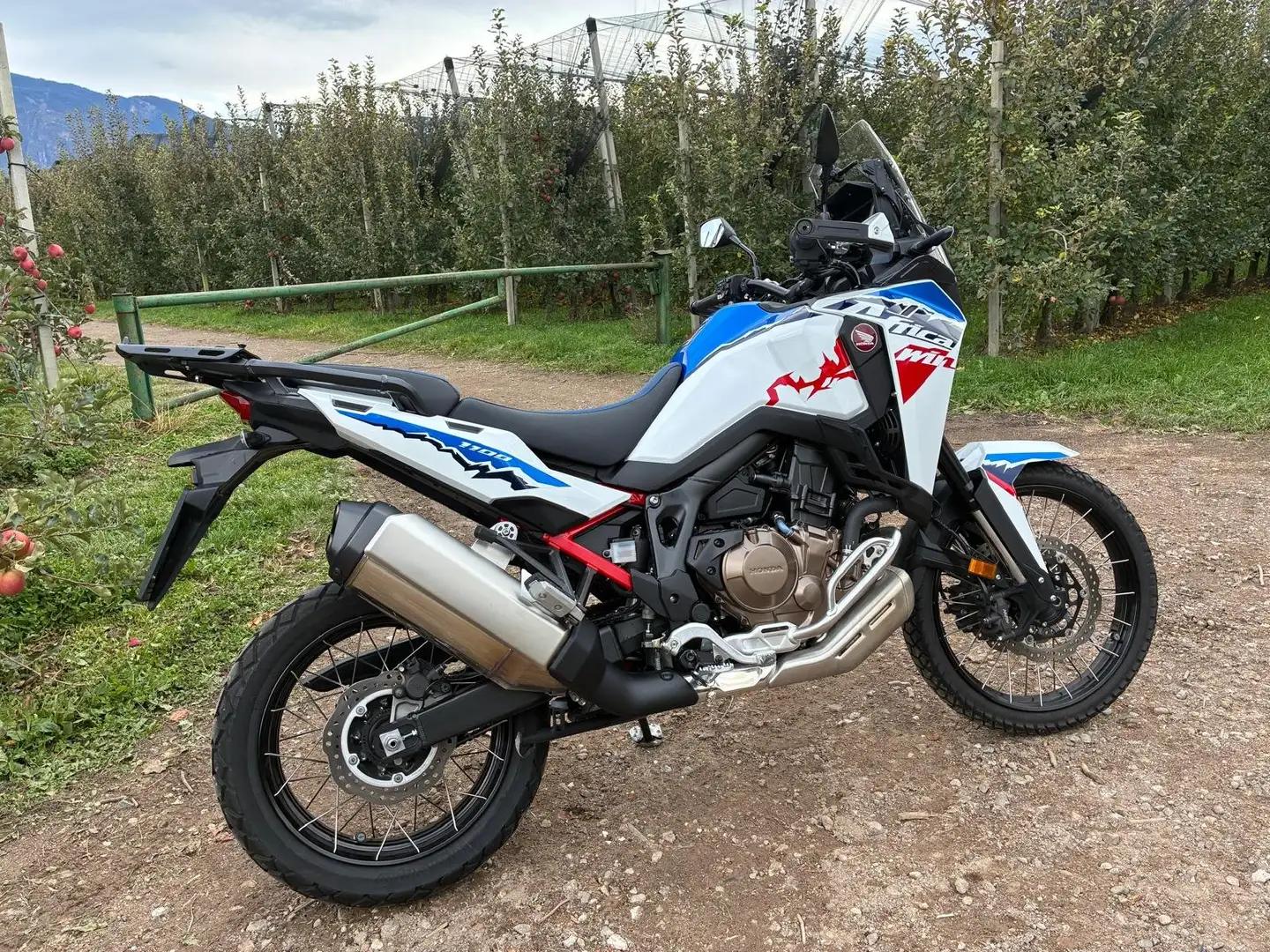Honda CRF 1100 CRF1100L AFRICA TWIN ES Bianco - 1
