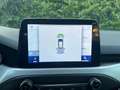 Ford Focus Focus SW 1.5 ecoblue Business s Grigio - thumbnail 15