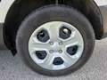 Ford EcoSport EcoSport 1.5 EcoBlue TDCi AWD Trend Trend Silber - thumbnail 12