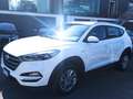 Hyundai TUCSON 1.7 crdi ** AUTOM.+NAVI+UNIPRO+FULL ** Bianco - thumbnail 4