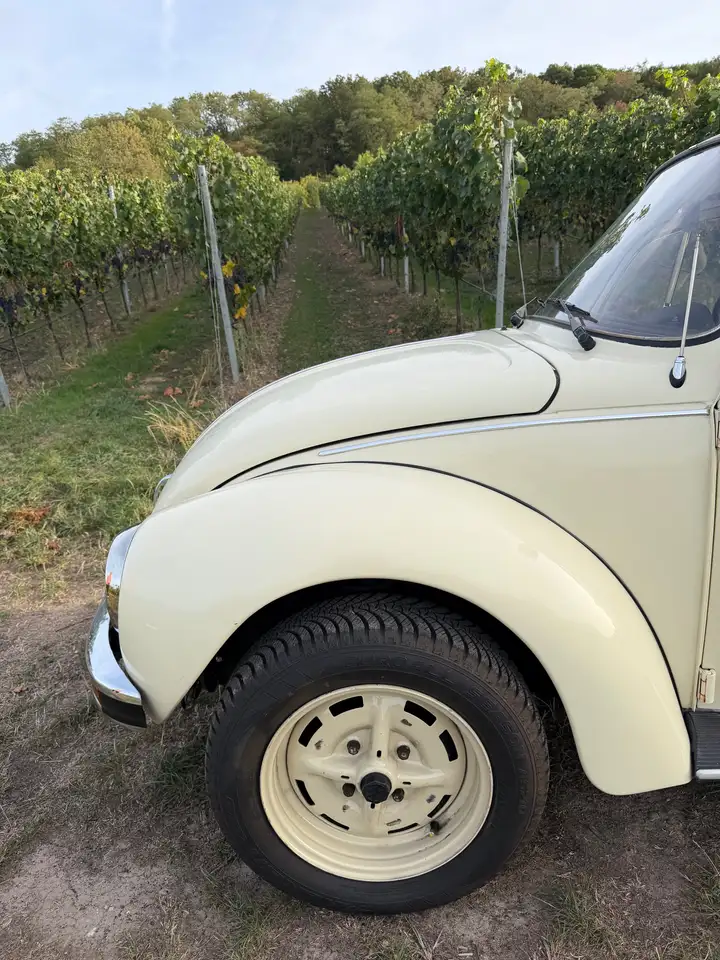 Volkswagen Käfer 1303, foto 2