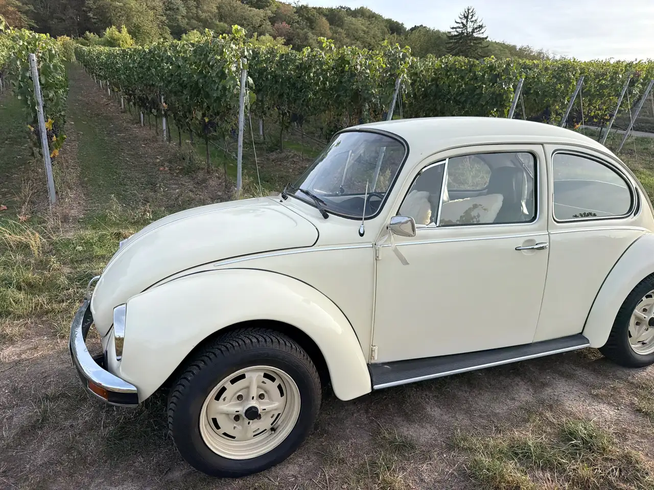 Volkswagen Käfer 1303, foto 3