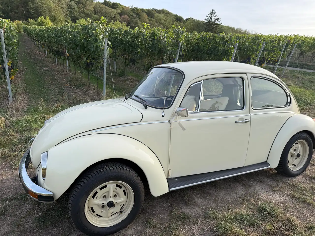 Volkswagen Käfer 1303, foto 5