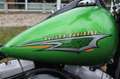 Harley-Davidson Softail Slim FLS Softail Groen - thumbnail 5