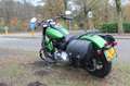 Harley-Davidson Softail Slim FLS Softail Зелений - thumbnail 8
