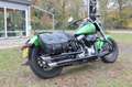 Harley-Davidson Softail Slim FLS Softail Groen - thumbnail 9