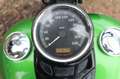 Harley-Davidson Softail Slim FLS Softail Groen - thumbnail 12