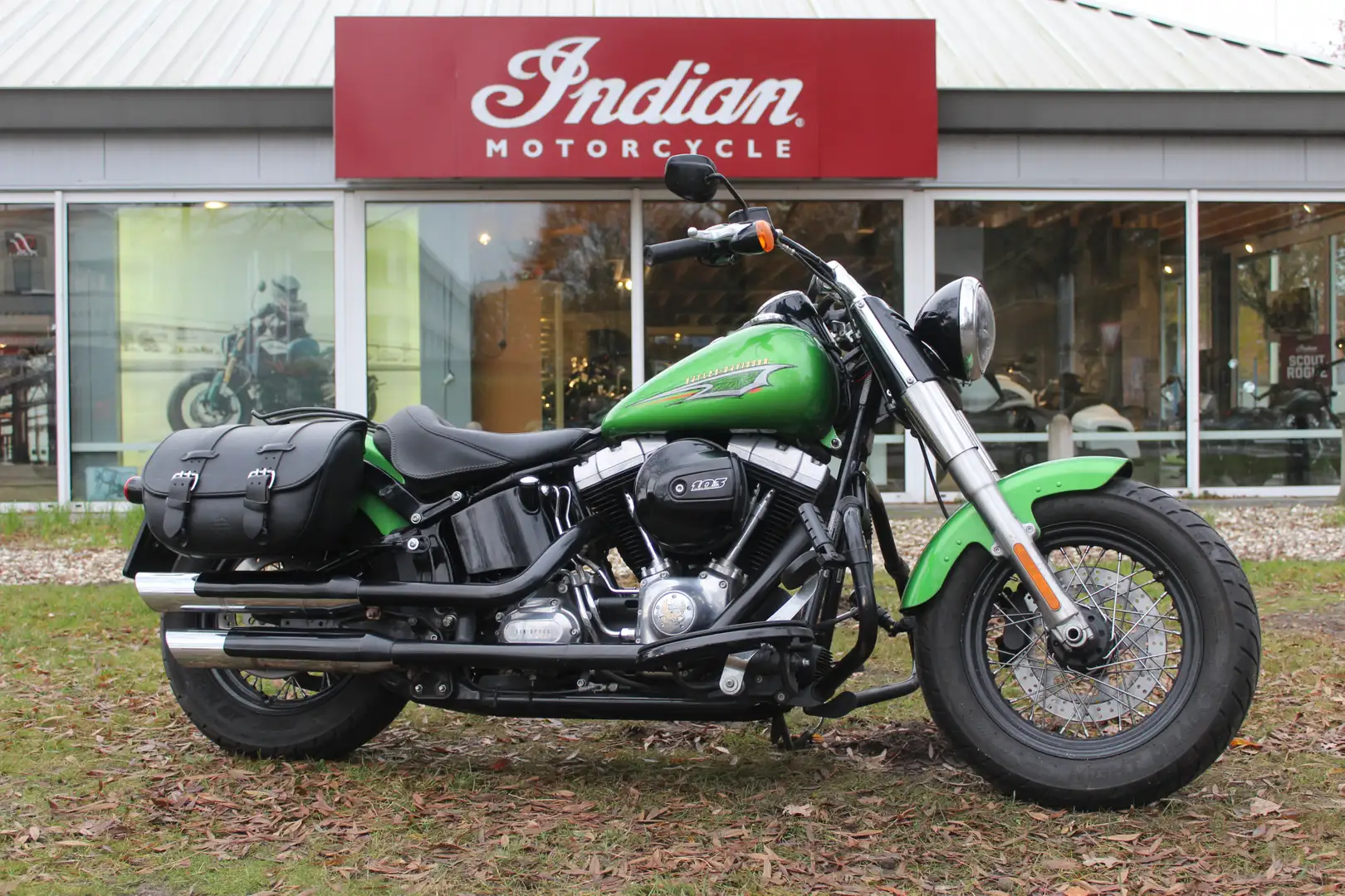 Harley-Davidson Softail Slim FLS Softail Green - 2
