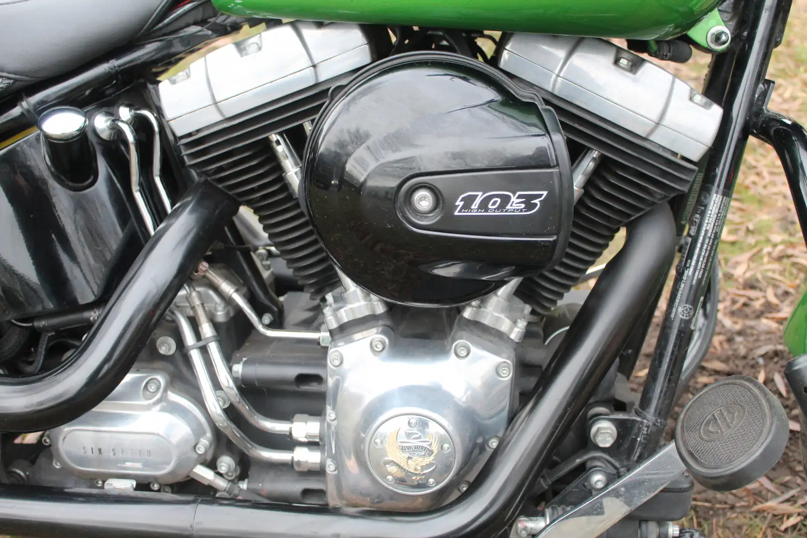 Harley-Davidson Softail Slim FLS Softail Verde - 2