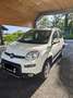 Fiat Panda 4x4 0,9 TwinAir Turbo 85 Weiß - thumbnail 1