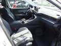 Peugeot 3008 1,6 BlueHDi 120 S&S EAT6 Allure, 1.Besitz, Navi... Weiß - thumbnail 5