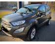Ford EcoSport ECOSPORT+1.0+EcoBoost+ACTIVE Grau - thumbnail 9