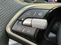 Skoda Kodiaq II 2.0 TSI DSG 4x4 RS 7-Sitzer HeadUp DCC AreaView Grau - thumbnail 18