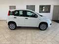 Fiat New Panda Panda 3 2016 0.9 t.air t. natural power Easy 80cv Wit - thumbnail 4