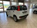 Fiat New Panda Panda 3 2016 0.9 t.air t. natural power Easy 80cv Wit - thumbnail 8