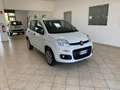 Fiat New Panda Panda 3 2016 0.9 t.air t. natural power Easy 80cv Wit - thumbnail 3