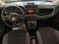 Fiat New Panda Panda 3 2016 0.9 t.air t. natural power Easy 80cv Wit - thumbnail 12