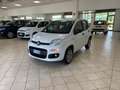Fiat New Panda Panda 3 2016 0.9 t.air t. natural power Easy 80cv Wit - thumbnail 1