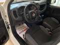 Fiat New Panda Panda 3 2016 0.9 t.air t. natural power Easy 80cv Wit - thumbnail 9