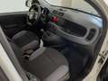 Fiat New Panda Panda 3 2016 0.9 t.air t. natural power Easy 80cv Wit - thumbnail 14