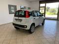 Fiat New Panda Panda 3 2016 0.9 t.air t. natural power Easy 80cv Wit - thumbnail 5