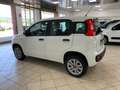 Fiat New Panda Panda 3 2016 0.9 t.air t. natural power Easy 80cv Wit - thumbnail 7