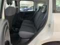 Fiat New Panda Panda 3 2016 0.9 t.air t. natural power Easy 80cv Wit - thumbnail 13