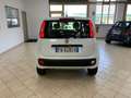 Fiat New Panda Panda 3 2016 0.9 t.air t. natural power Easy 80cv Wit - thumbnail 6