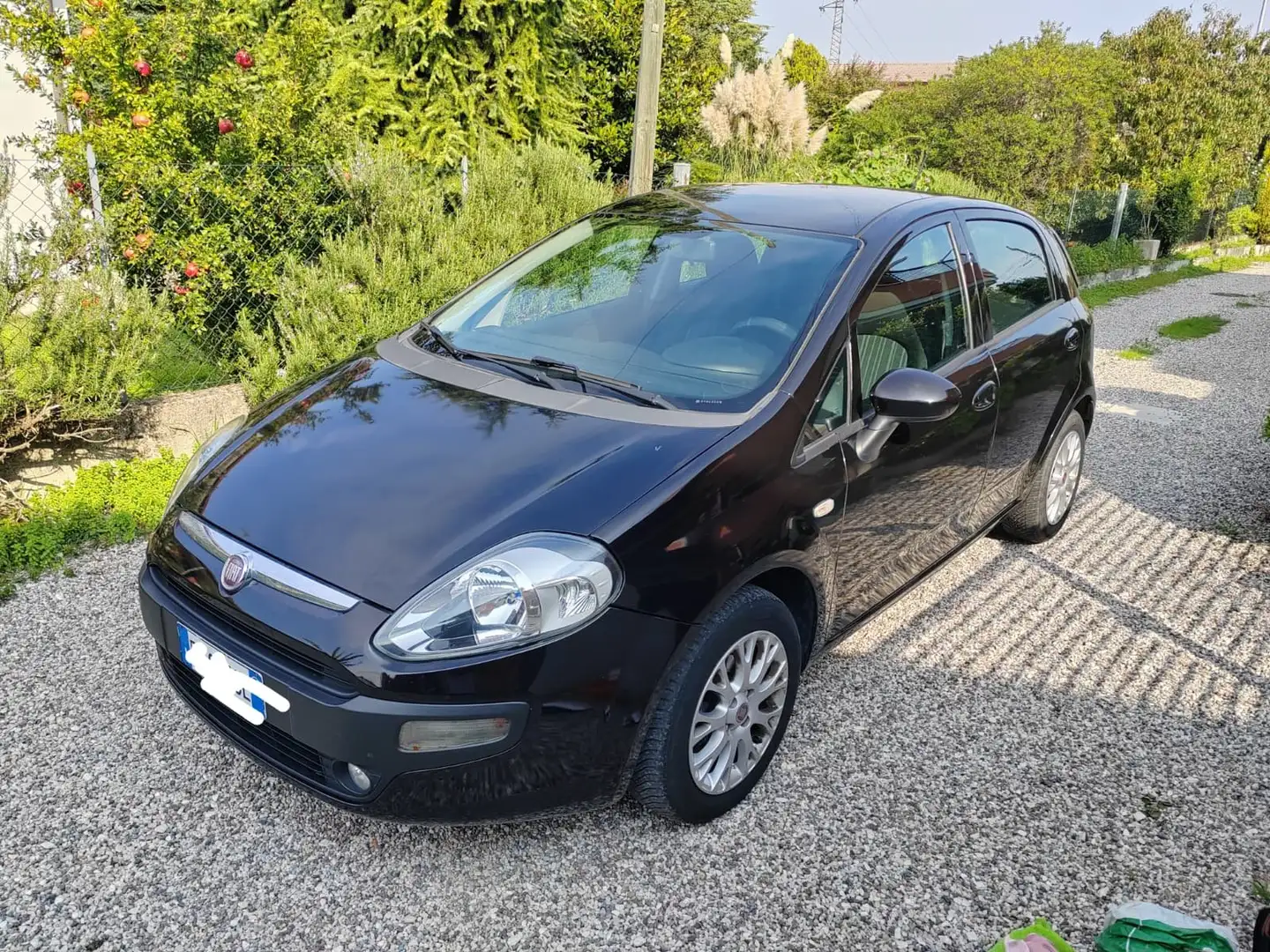 Fiat Punto Evo Punto Evo 5p 1.2 Blue Nero - 1