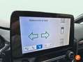 Ford Fiesta 1.0 EcoBoost MHEV 92kW(125CV) ST-Line 5p Gris - thumbnail 22