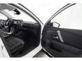 Citroen C4 1.2PureTech Aut.Shine+LED+NAVI+KAMERA+TEMPO Bianco - thumbnail 23