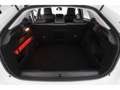 Citroen C4 1.2PureTech Aut.Shine+LED+NAVI+KAMERA+TEMPO Bianco - thumbnail 22