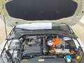 Volkswagen Golf Style 1.4 eHybrid RFK*PDC*Tempo*Klima*SH Weiß - thumbnail 5