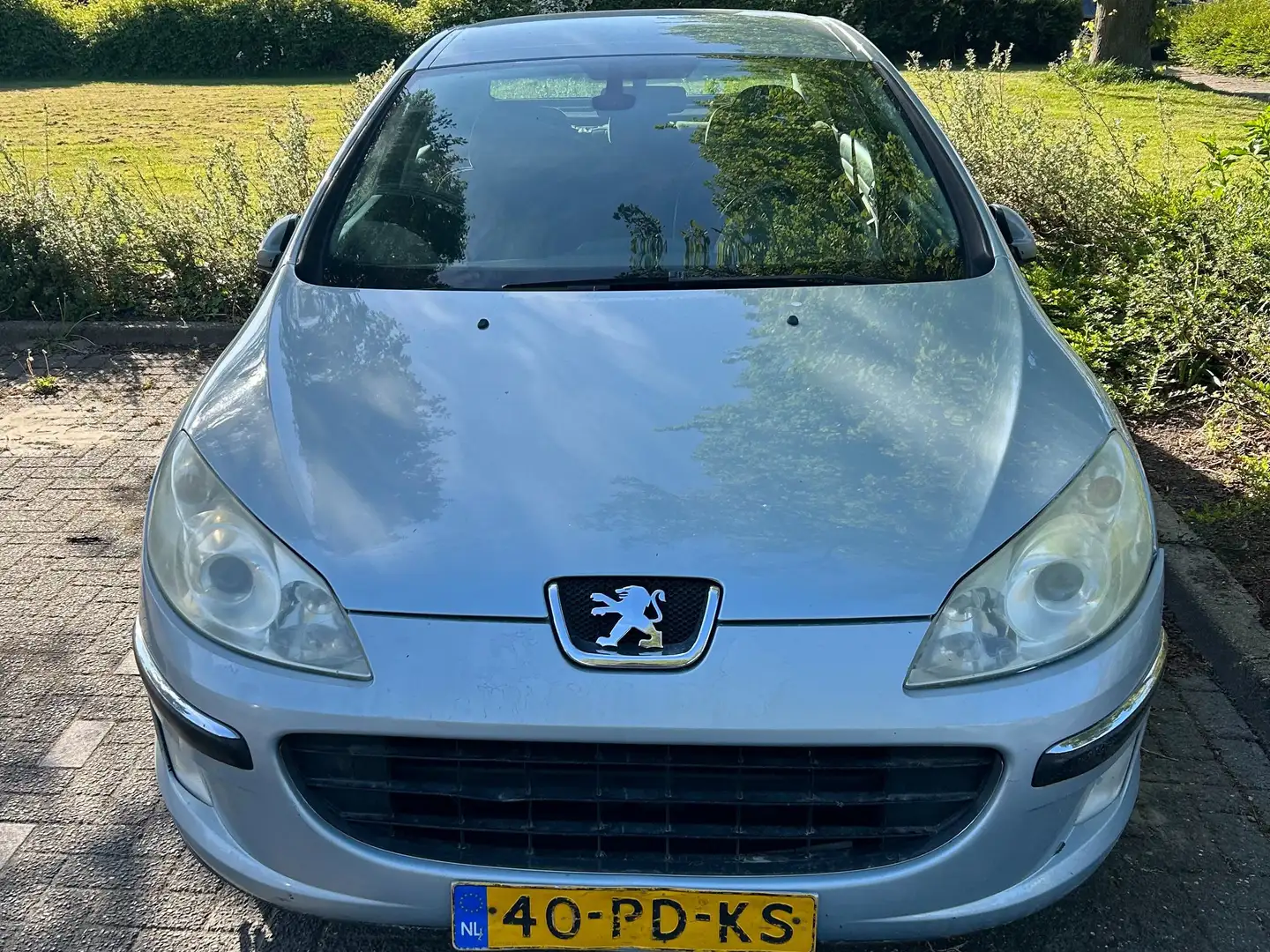 Peugeot 407 407 1.8-16V XR Pack Azul - 2