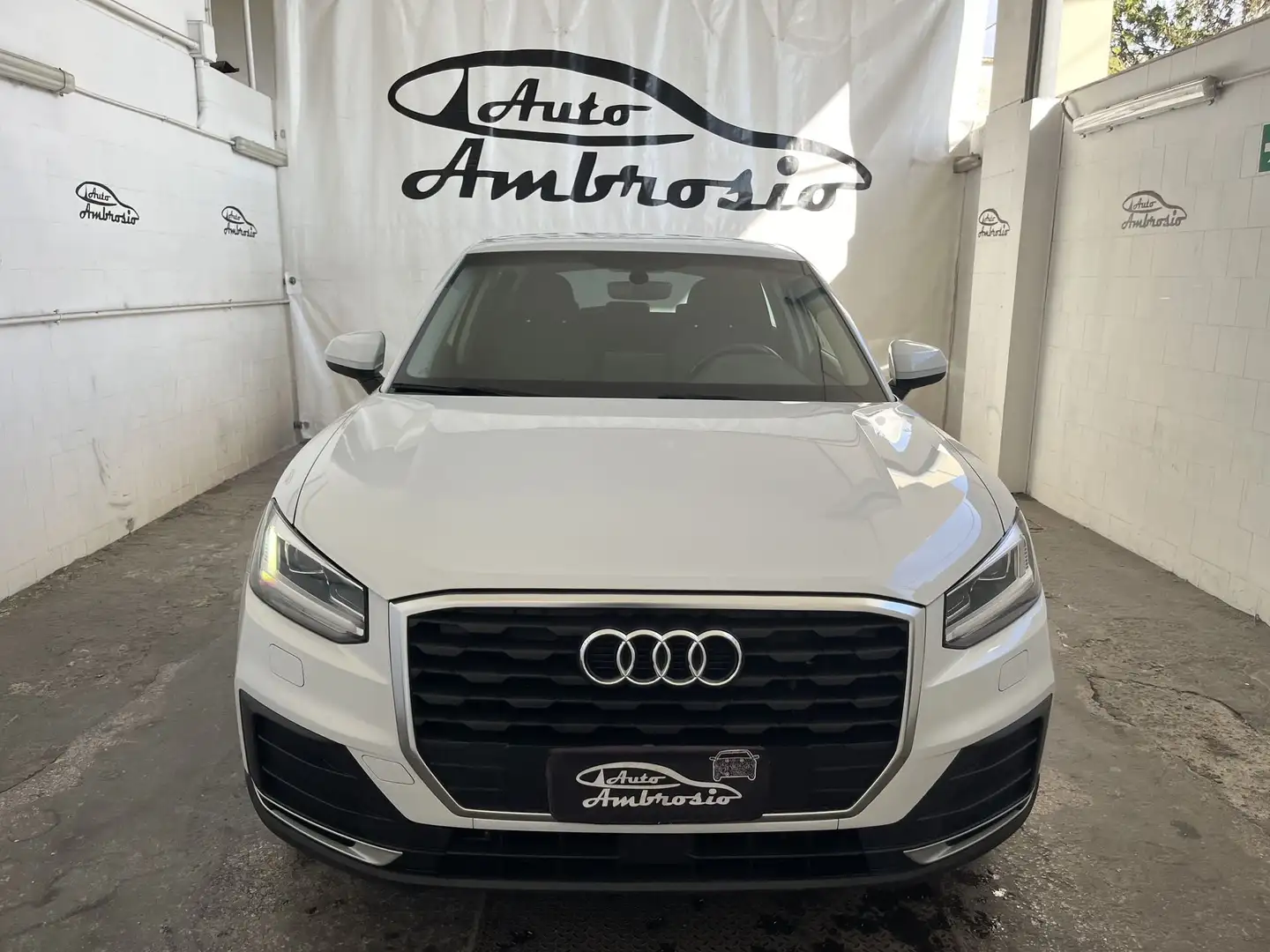 Audi Q2 Q2 1.6 TDI S tronic Bianco - 2