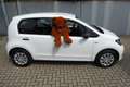 Skoda Citigo Cool Edition 1.Hand Weiß - thumbnail 9