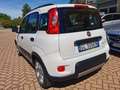 Fiat Panda 1.0 firefly hybrid City Life Blanc - thumbnail 7