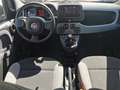 Fiat Panda 1.0 firefly hybrid City Life Blanc - thumbnail 9