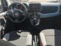 Fiat Panda 1.0 firefly hybrid City Life Blanc - thumbnail 6