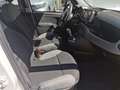 Fiat Panda 1.0 firefly hybrid City Life Blanc - thumbnail 4