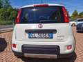 Fiat Panda 1.0 firefly hybrid City Life Blanc - thumbnail 14