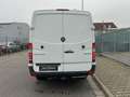 Mercedes-Benz Sprinter 316/Mixto 6-Sitzer/ DoKa/ Standheizung/ Tachograph Blanco - thumbnail 5