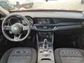 Alfa Romeo Stelvio 2.2 TD 160 Cv At8 RWD Blanc - thumbnail 21