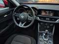 Alfa Romeo Stelvio 2.2 TD 160 Cv At8 RWD Blanc - thumbnail 14