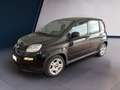 Fiat Panda My23 1.0 70cv Hybrid Panda Noir - thumbnail 2