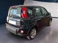 Fiat Panda My23 1.0 70cv Hybrid Panda Noir - thumbnail 4